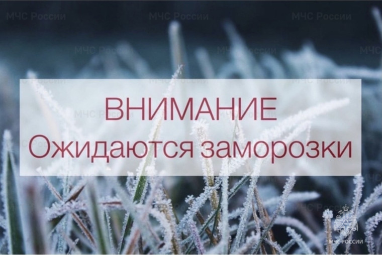 Ожидаются заморозки. Ожидаются заморозки.
