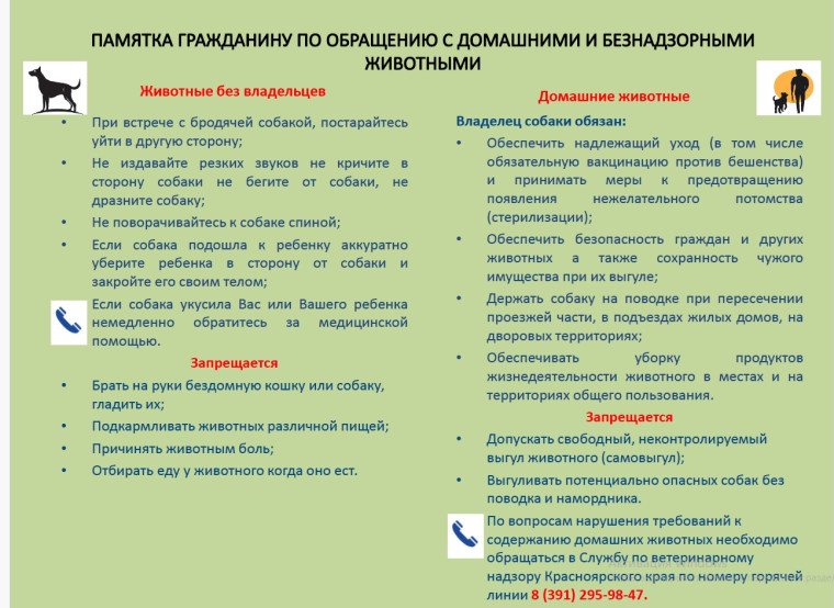 Памятка гражданину по обращению с домашними и безнадзорными животными.. Памятка гражданину по обращению с домашними и безнадзорными животными..