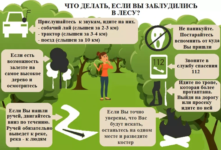 Что делать если вы заблудились в лесу?!. Что делать если вы заблудились в лесу?!.